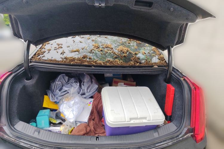 Used Cadillac XTS 2017 28T Elite Model Trunk