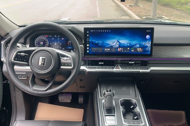 Used Tank 400 2025 2.0T Gasoline Version
