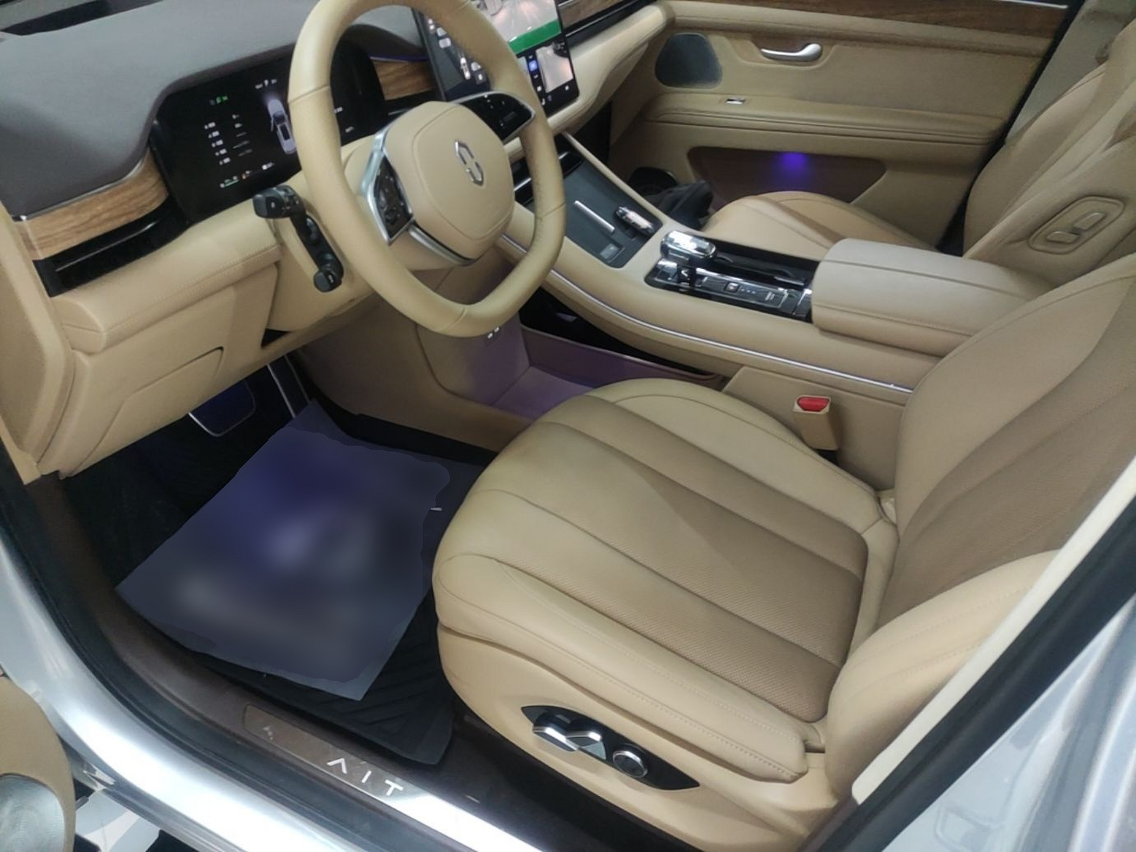 Interior delantero