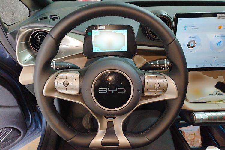 Used BYD Dolphin 2025 420km Free Edition