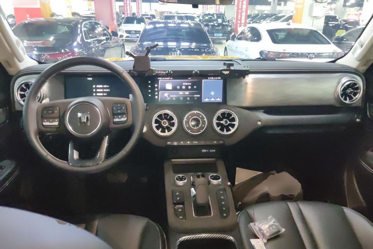 Used Tank 300 2022 2.0T Border Limited Edition