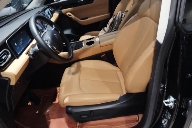 Used Leapmotor C11 2024 Range-Extended 200 Smart Enjoyment Edition Left Front Seat