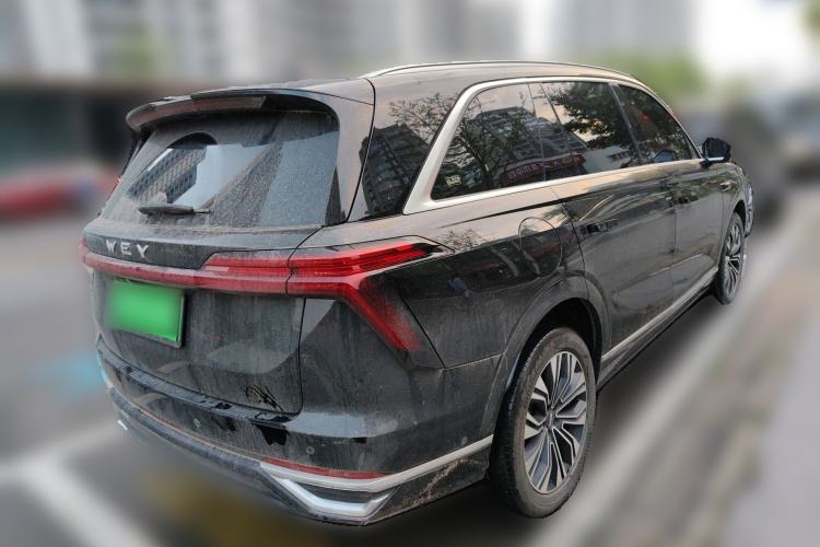 Used Wey Lanshan 2023 Four-Wheel Drive Ultra-Long Range Version