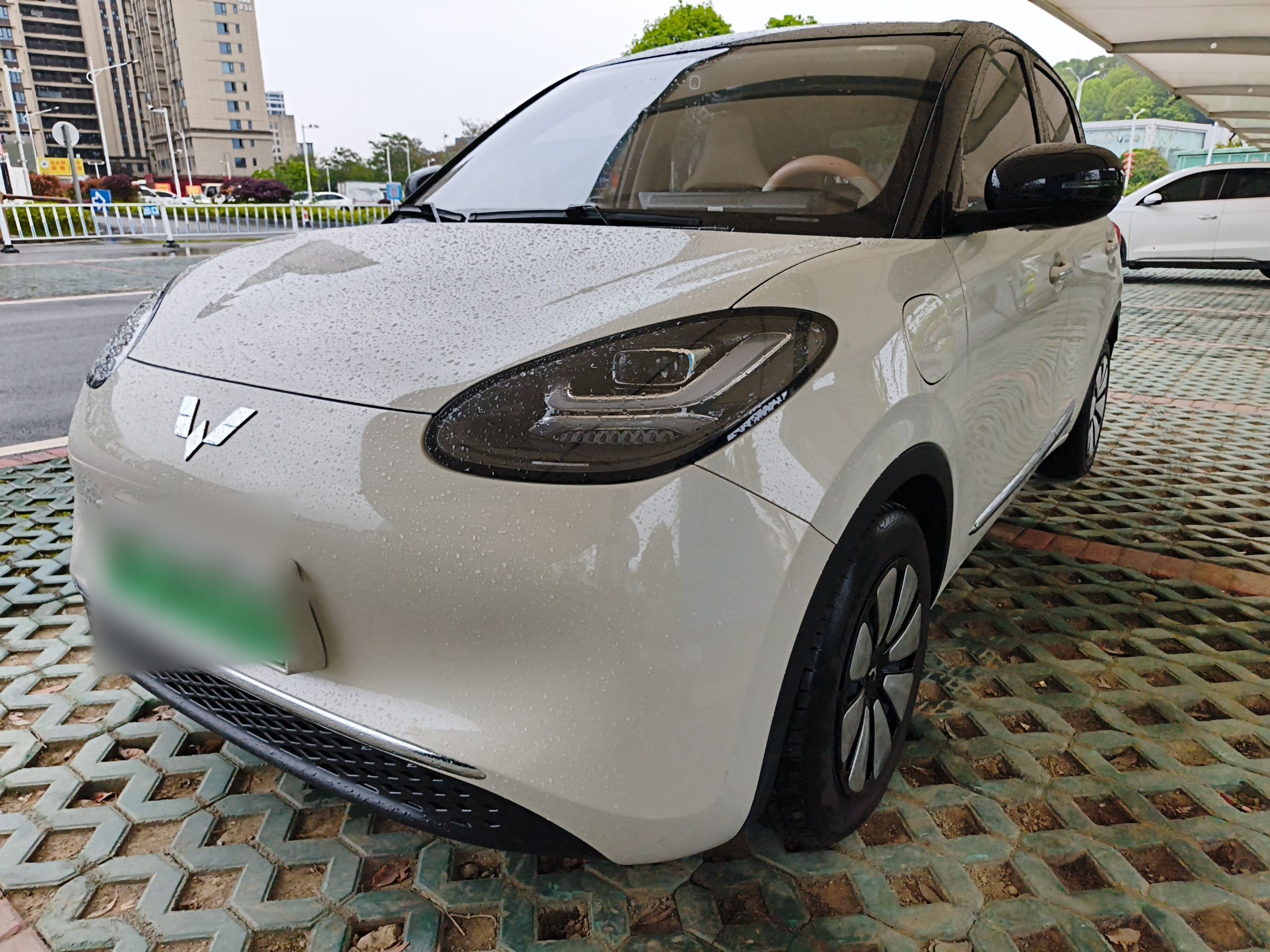 Parte inferior delantera