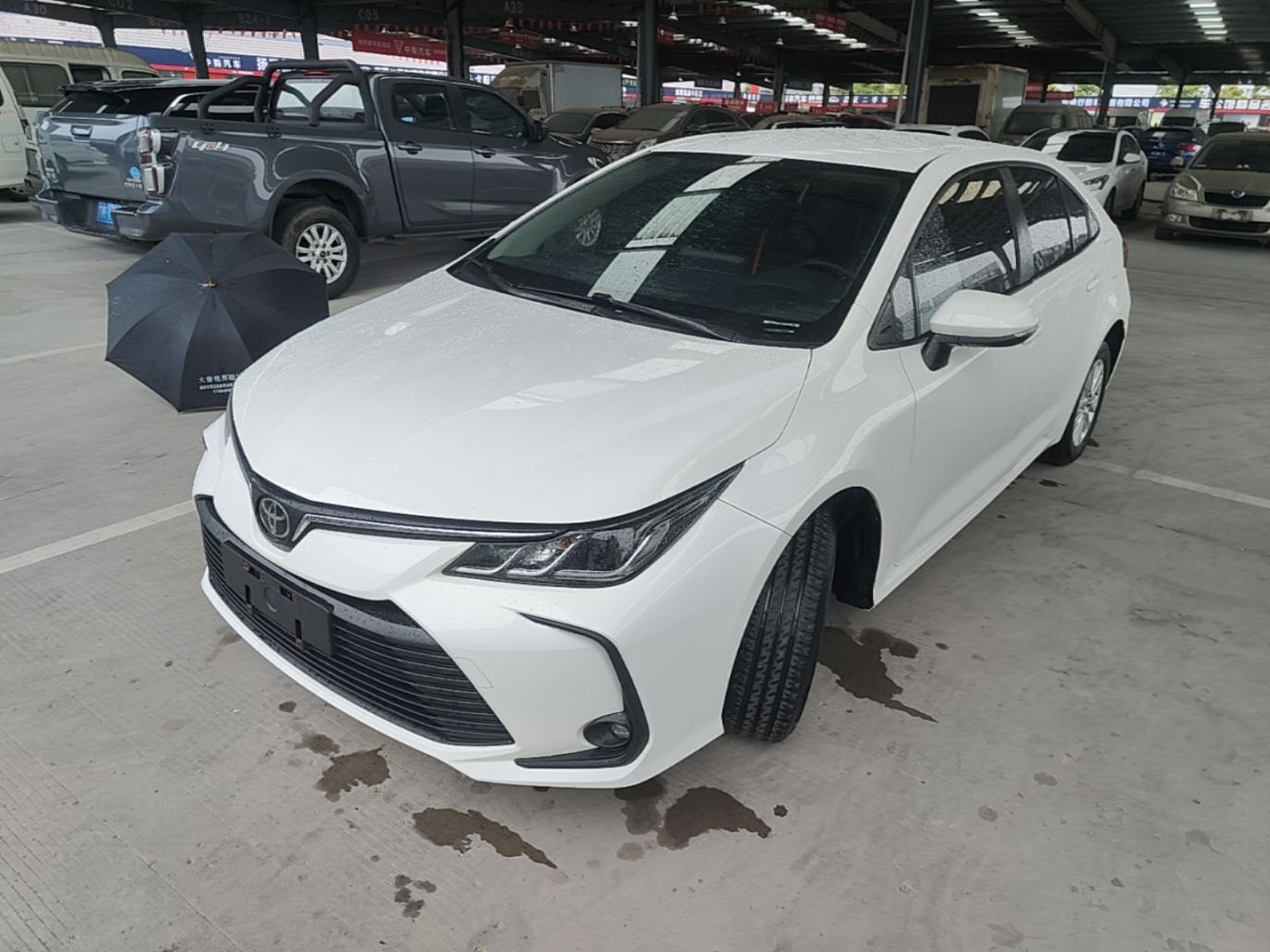 Under Front Bumper