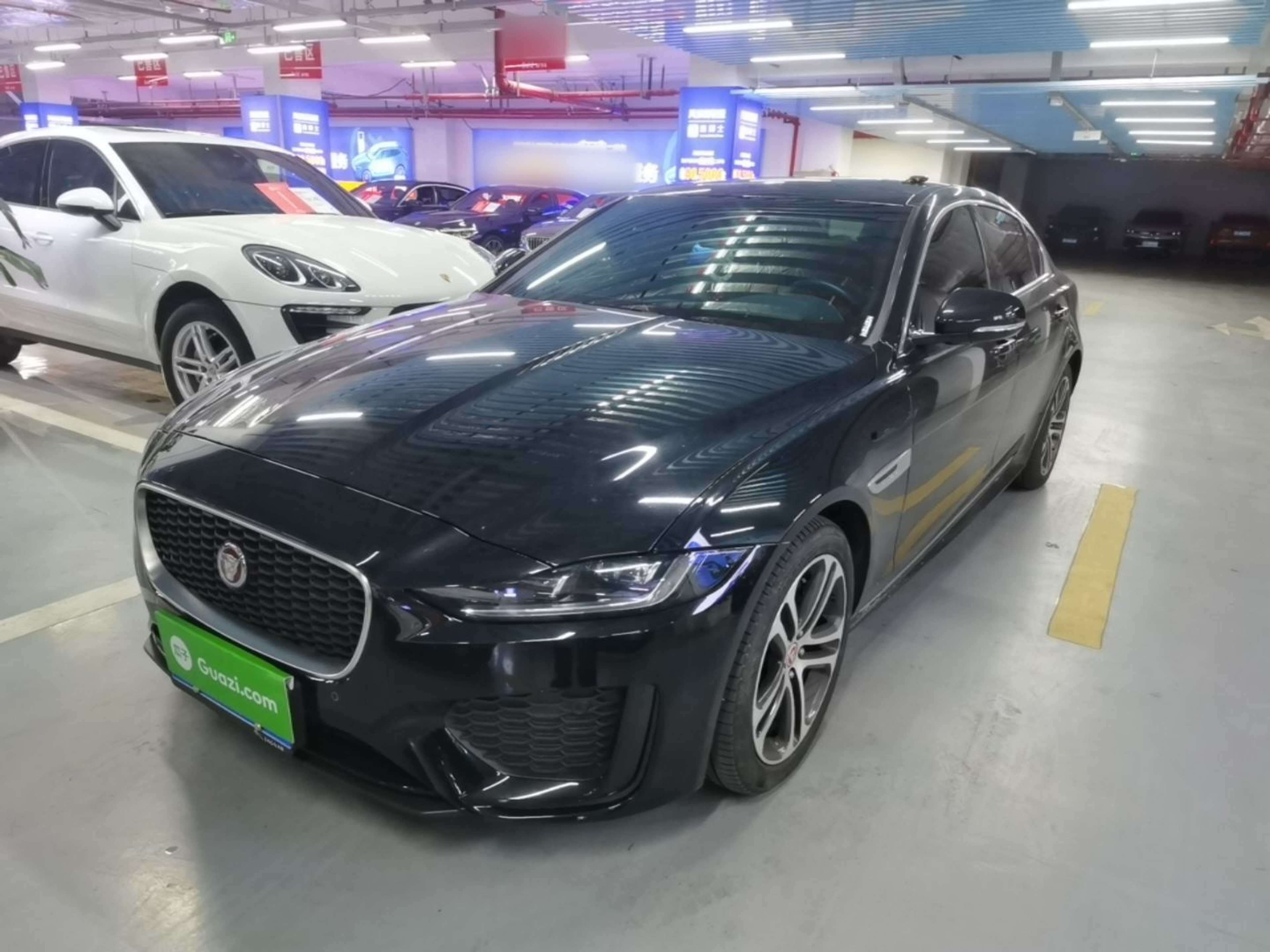 Under Front Bumper