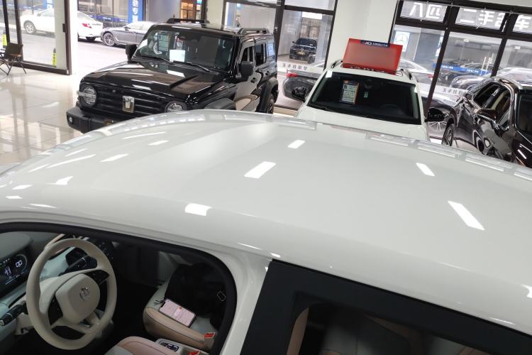 Used Leapmotor T03 2024 310 Comfort Edition Roof