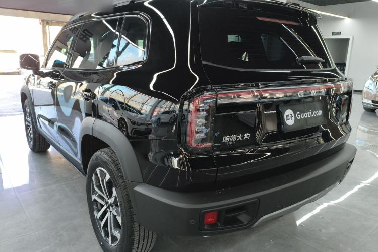 Used Haval DARGO 2026 Model 2.0T DCT Chinese Rural Dog Edition Rear Left 45 Deg