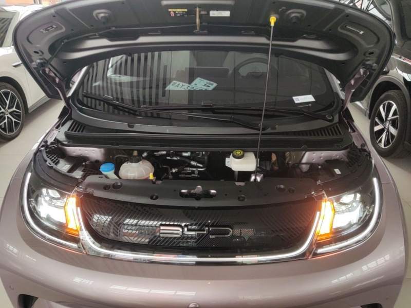 Used BYD Dolphin 2023 401km Knight Edition — 19