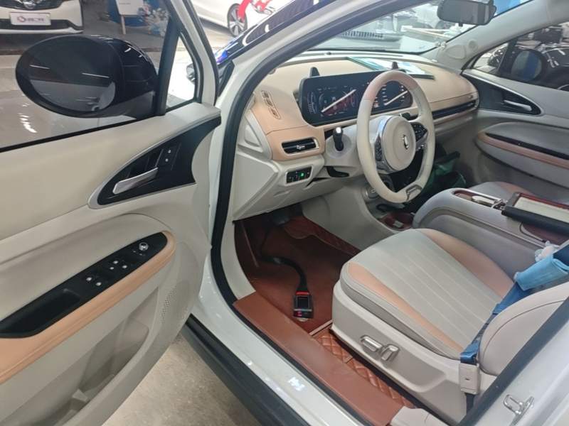 Used ORA Good Cat 2024 401 km Luxury Version 126 kW — 15