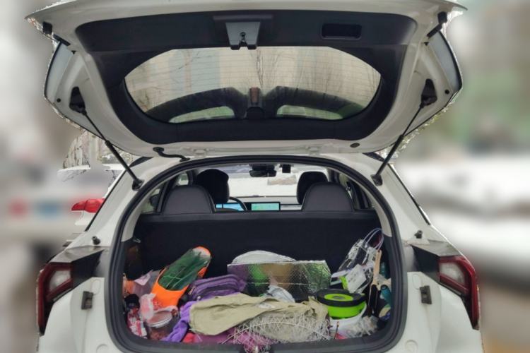 Used Geometry E Firefly 2022 401KM Lightning Tiger 4-Seater