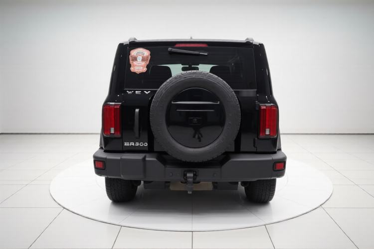 Used Tank 300 2021 Off-Road Edition 2.0T Conqueror Exterior 4