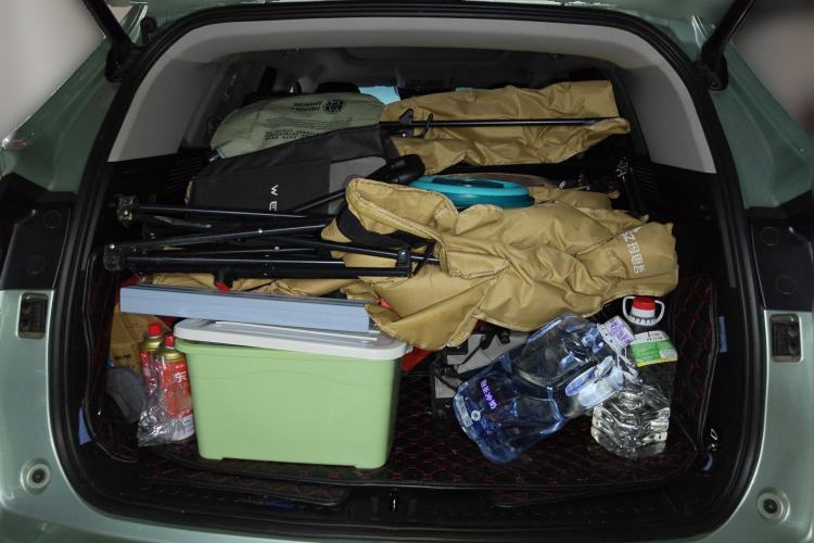 Used Wey Latte DHT 2022 1.5T DHT Extra-Large Cup
