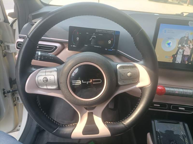 Used BYD Seagull 2023 Free Edition — 10
