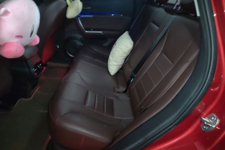 Used Wey VV5 2019 1.5T Two-Wheel Drive Color Pioneer