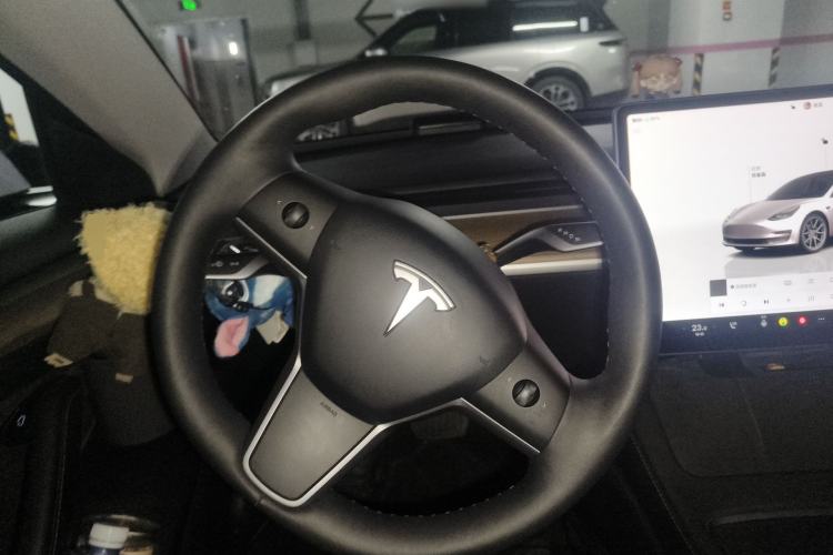 Used Tesla Model 3 2022 Rear-Wheel-Drive Version