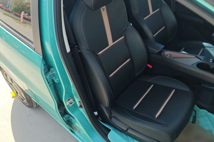 Used SOL E10X 2022 Flower Fairy Design Four-Leaf Clover
