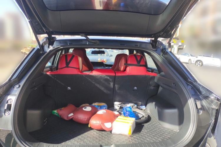 Used Venucia V 2022 260T Black Horse Edition · Idol
