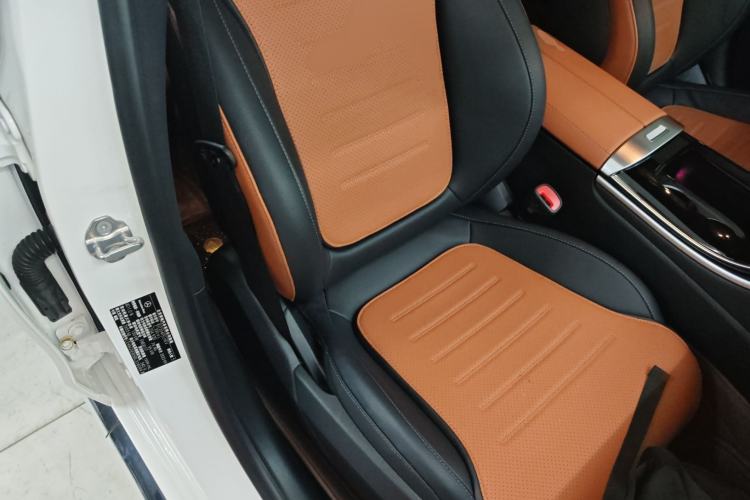 Used Mercedes-Benz C-Class New Energy 2023 Second Facelift C 350 eL Right Front Seat