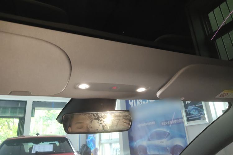 Used Tesla Model 3 2023 Rear-Wheel-Drive Version Headliner