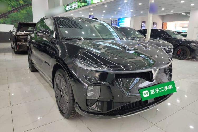 Used VOYAH COURAGE 2024 Four-Wheel Drive Global Edition
