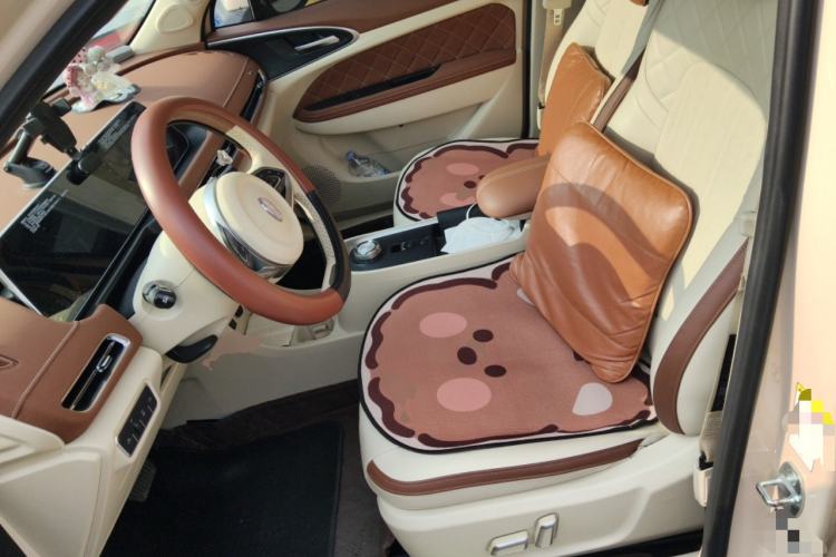 Used ORA Good Cat 2021 400km Standard Range Athena Edition Lithium Iron Phosphate
