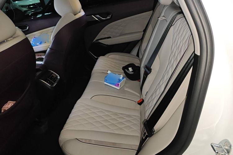 Used Wey Latte DHT 2022 1.5T DHT Extra-Large Cup