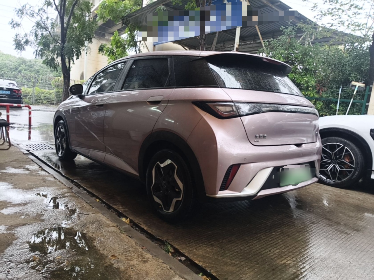 BYD Dolphin 2021 405 km Fashion Edition — снимка 4