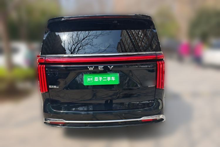 Used Wey Gaoshan 2023 Four-Wheel-Drive Executive Extended Version Rear
