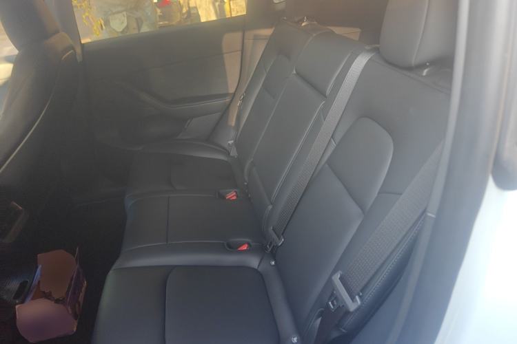 Used Tesla Model Y 2023 Rear-Wheel-Drive Version Left Rear Seat