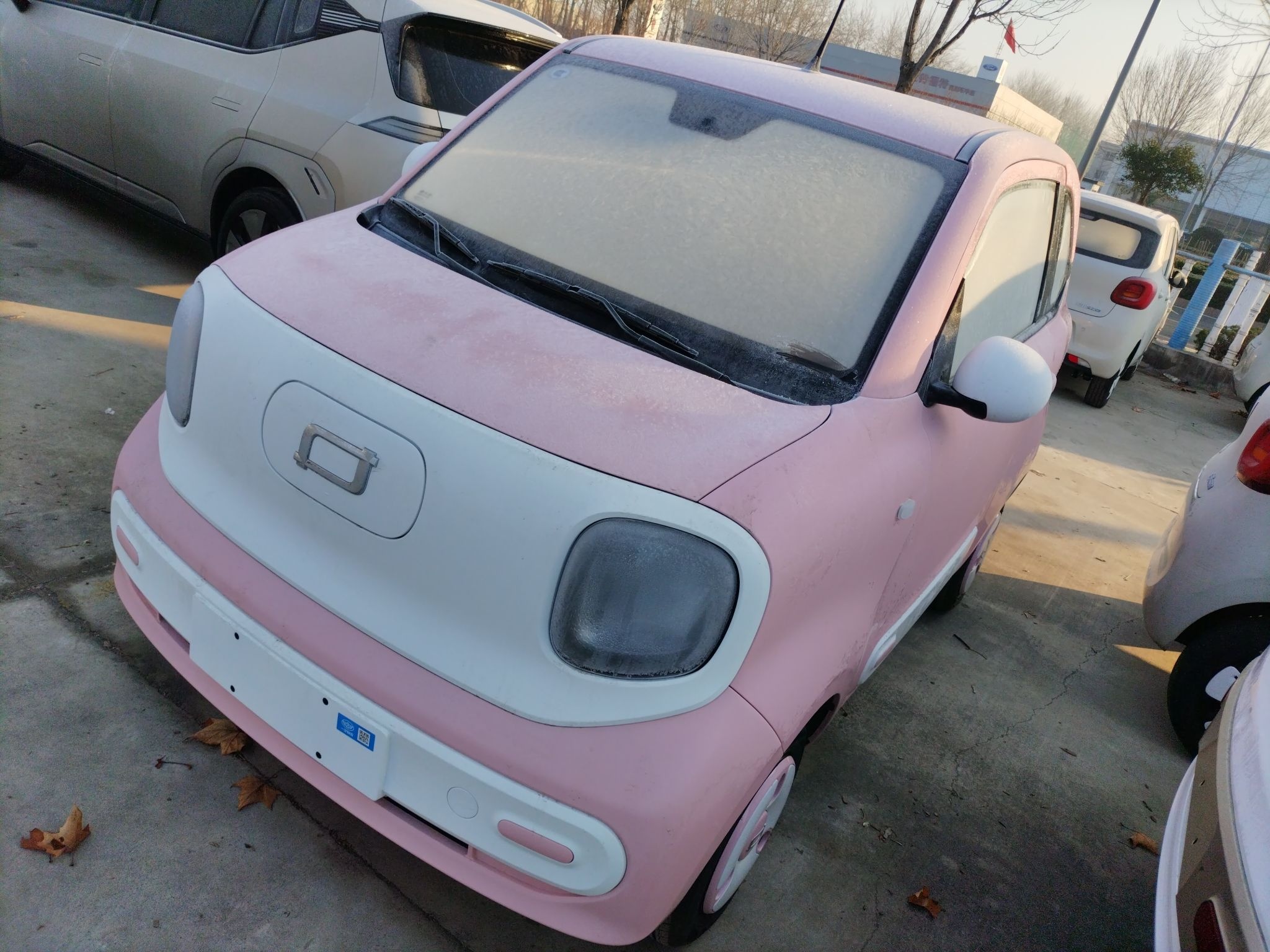 تحت مقدمة السيارة