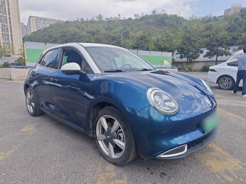 Used ORA Good Cat 2021 500km Long-Range Poseidon Edition Lithium-Ion Battery — 12