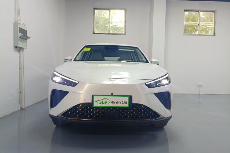 Used NETA L 2024 Extended-Range 220 PRO+ Family Package