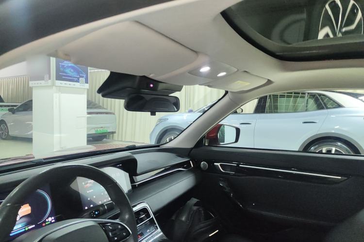 Used Leapmotor S01 2020 460 Pro Headliner