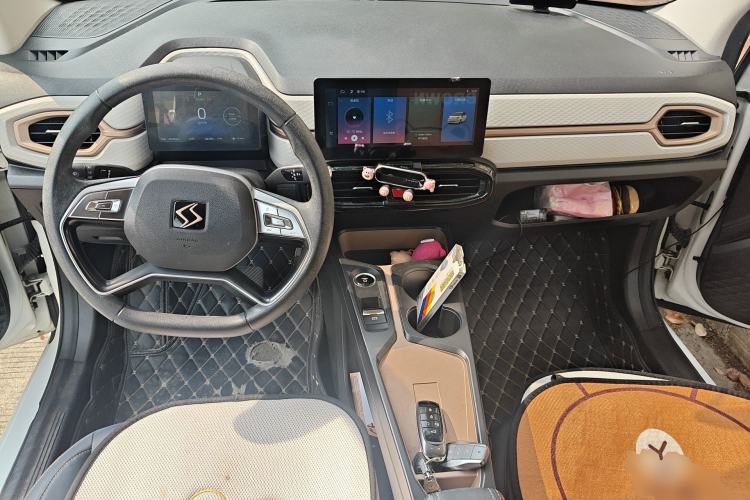 Used SOL E10X 2022 Flower Fairy Design Four-Leaf Clover