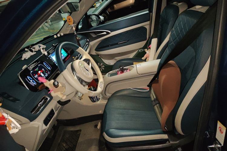 Used ORA Good Cat 2023 401 km Standard Range Luxury Version Lithium Iron Phosphate
