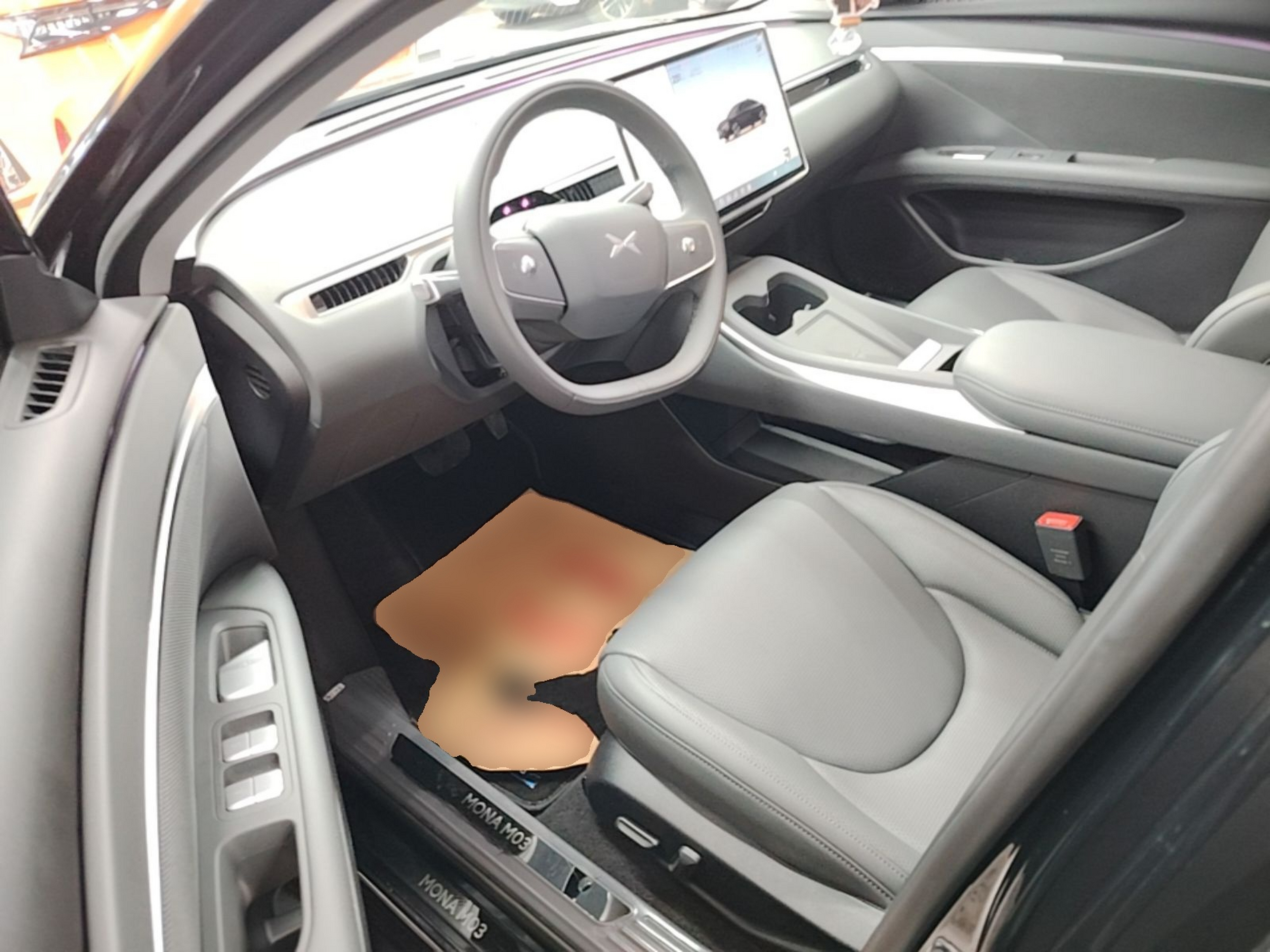 Interior delantero