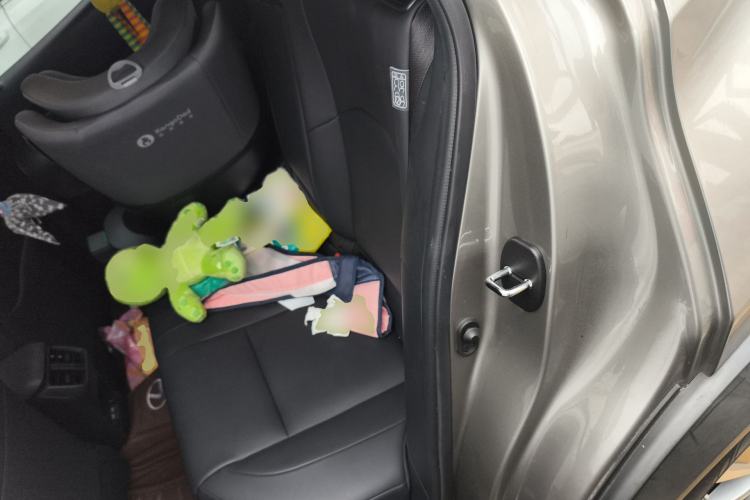 Used Lexus UX New Energy 2020 300e Pure·Joy Edition Left Rear Seat