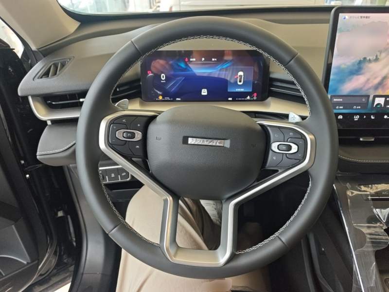 Used Haval H6 2026 Model—1.5T Two-Wheel Drive Classic Edition — 10