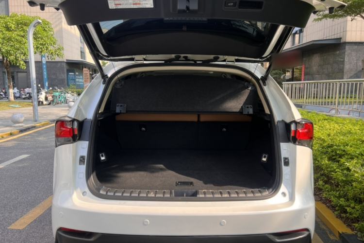 Used Lexus NX 2016 200 All-Wheel Drive FENGSHANG Version
