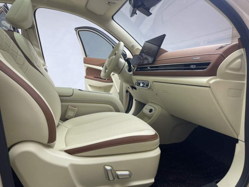 Used ORA Good Cat 2025 Model, 430 km Prestige Version — 47