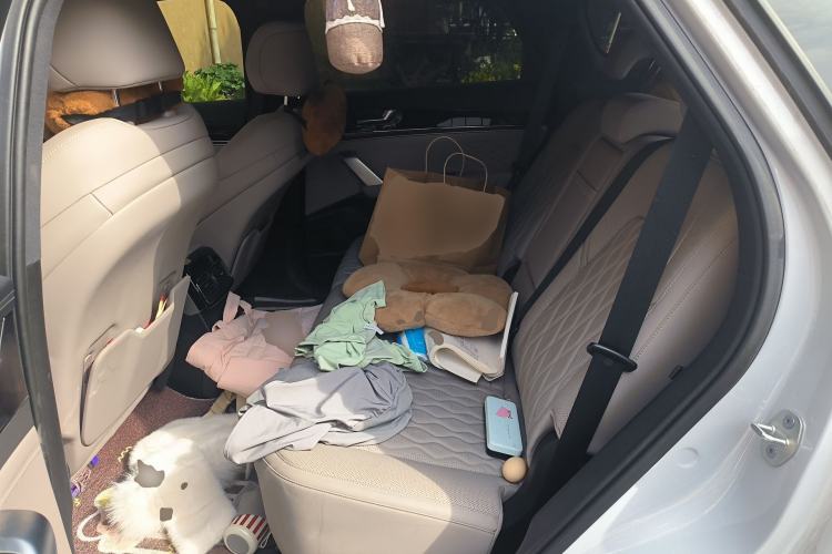 Used BYD Tang New Energy 2025 Intelligent Driving Version DM-i 115KM Prestige Edition Left Rear Seat