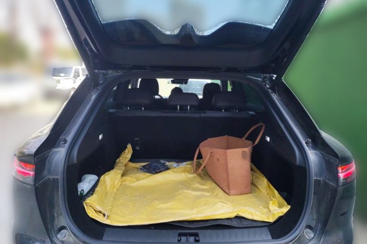 Used VOYAH COURAGE 2024 Four-Wheel Drive Global Edition