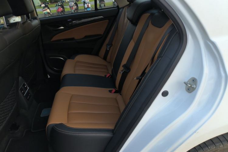 Used BYD Qin New Energy 2017 Qin EV300 Flagship Model Left Rear Seat