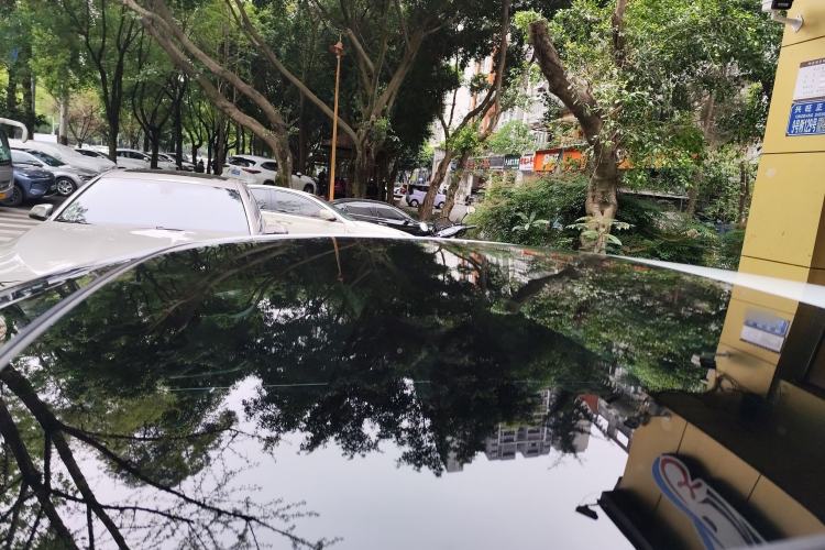 Used Volkswagen Golf 2025 300TSI R-Line
