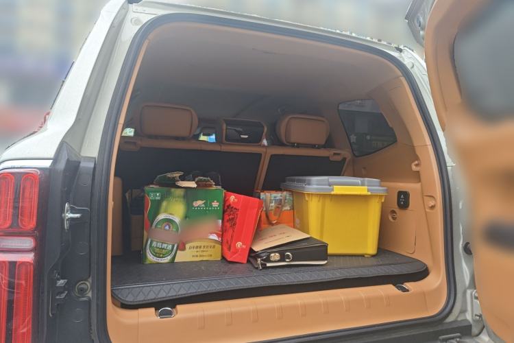 Used Tank 500 New Energy 2024 Hi4-T Trunk