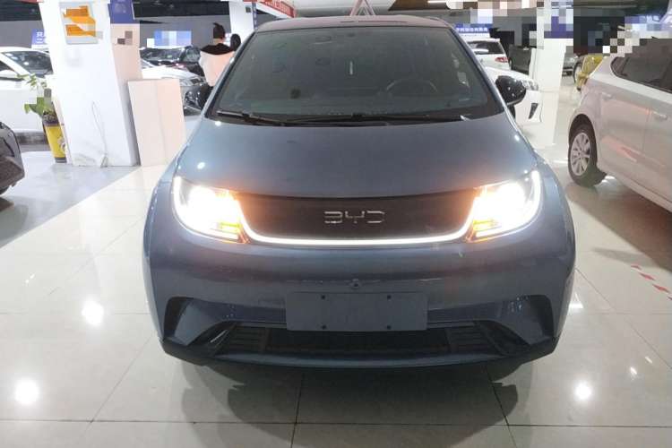 Used BYD Dolphin 2025 420km Free Edition