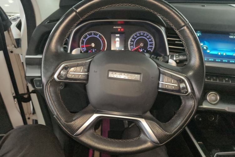 Used Haval H6 2017 Blue Label 1.3T Automatic Two-Wheel Drive ZhiShang Model
