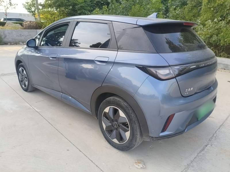 Used BYD Dolphin 2024 Honor Edition 420km Freedom Version — 4