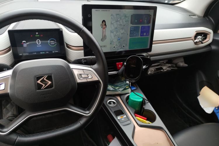 Used SOL E10X 2022 Flower Fairy Style Baby's Breath